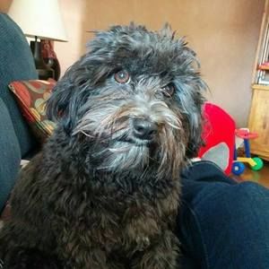 Meet your Posher, Rosa